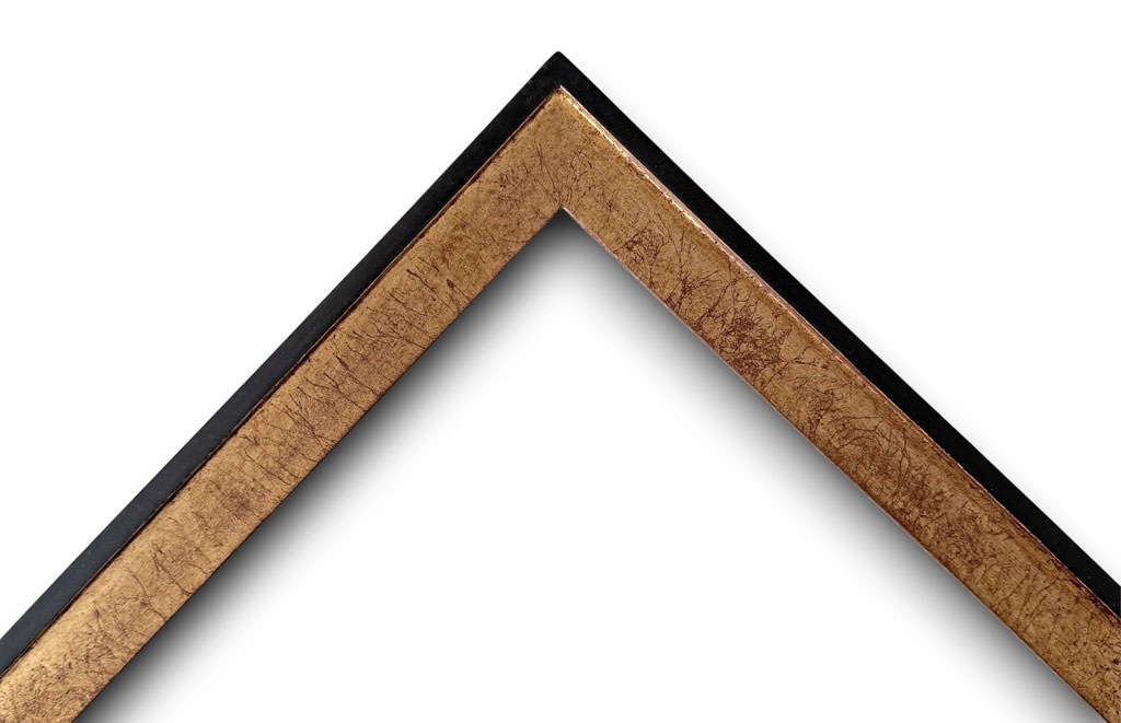 Dion Sisyphe filet et dos couleur